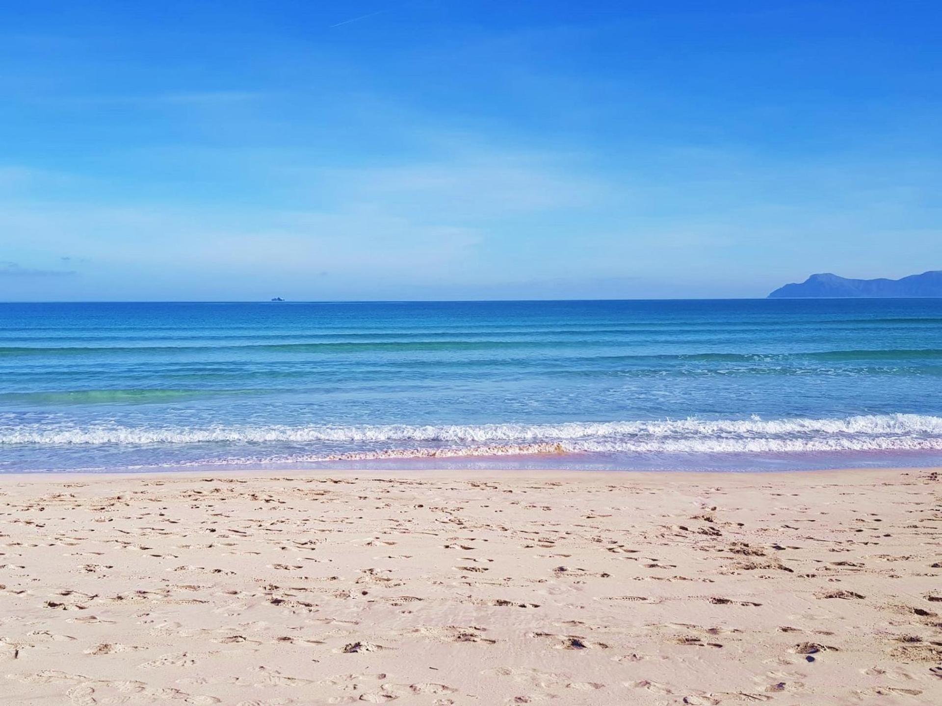 Ideal Property Mallorca - Villa Xisco Alcúdia Eksteriør bilde