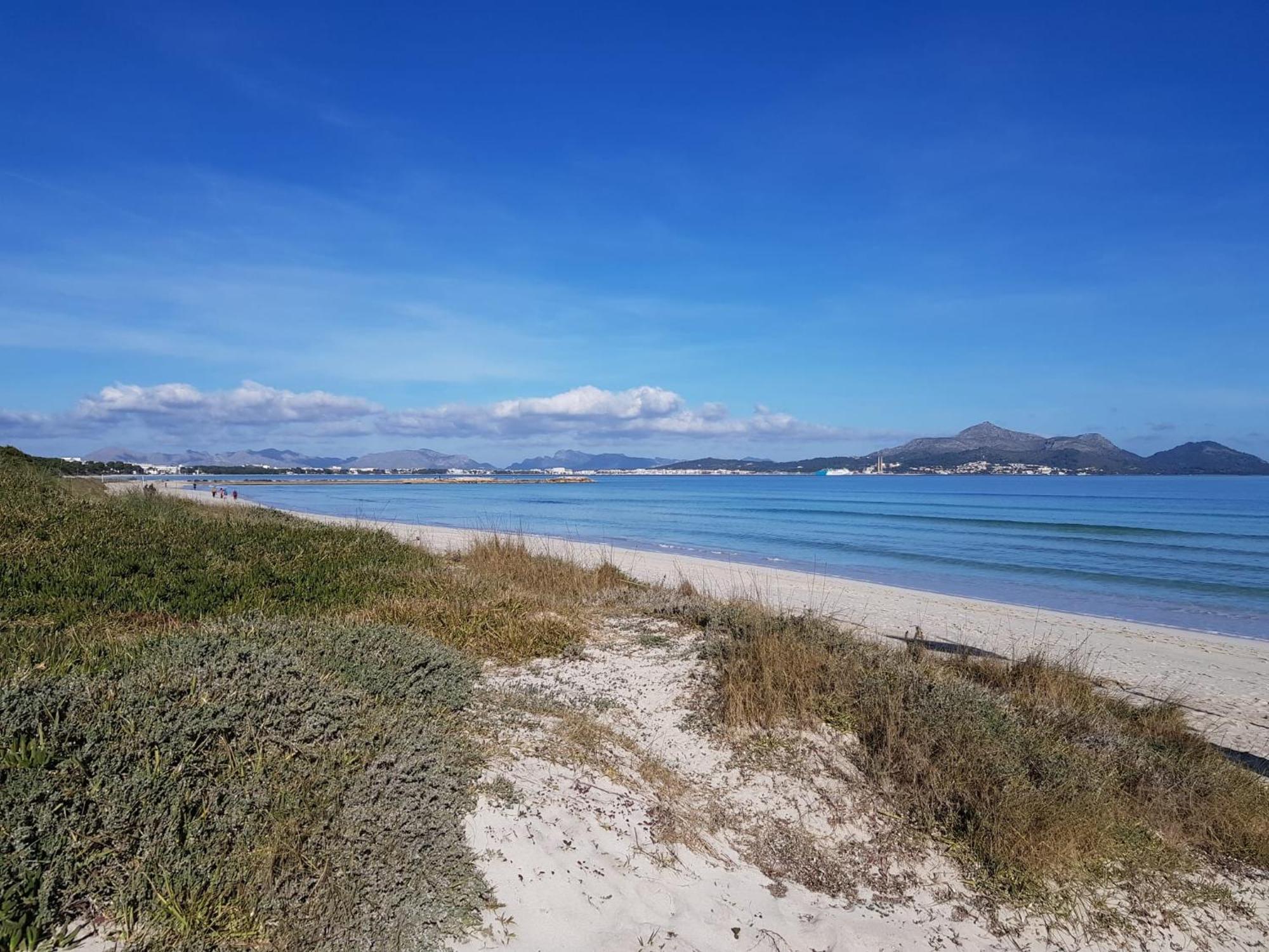 Ideal Property Mallorca - Villa Xisco Alcúdia Eksteriør bilde